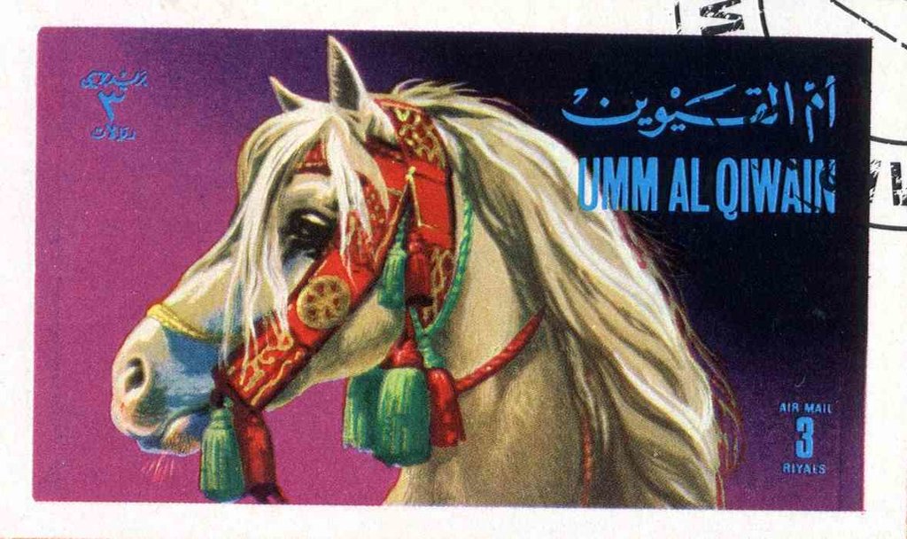 Horse (Equus ferus caballus)