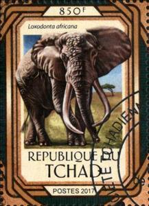 Stamp, Loxodonta africana, Cinderellas,  , Animals (Fauna), Elephants