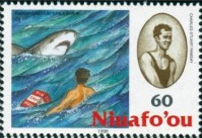 Swimmer and shark
