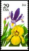 Iris