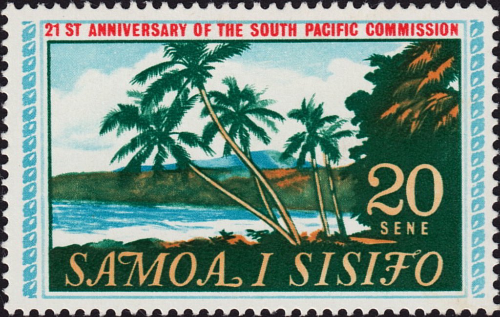 Palm trees and bay