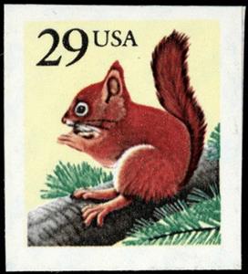 Stamp, Red Squirrel (Sciurus vulgaris), United States of America,  , Squirrels, Animals (Fauna)
