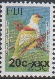 Many-coloured Fruit Dove (Ptilinopus perousii)