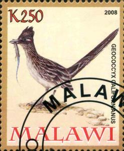 Stamp, Geococcyx Californianus, Cinderellas,  , Animals (Fauna), Birds