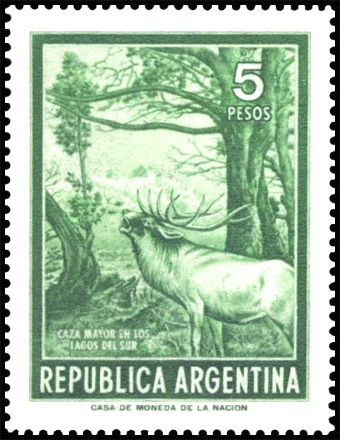 Red Deer (ìCervus elaphus)