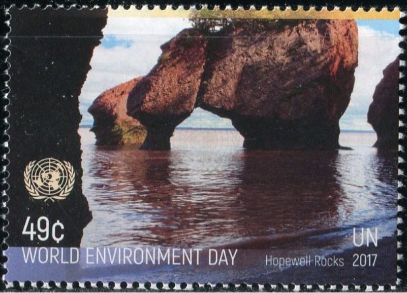 World Environment Day
