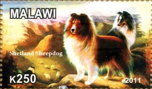 Stamp, Shetland Sheepdog, Cinderellas,  , Animals (Fauna), Dogs