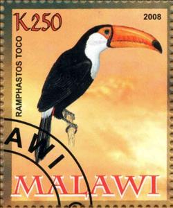 Stamp, Ramphastos Toco, Cinderellas,  , Animals (Fauna), Birds