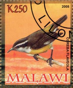 Stamp, Coreba Flaveola, Cinderellas,  , Animals (Fauna), Birds