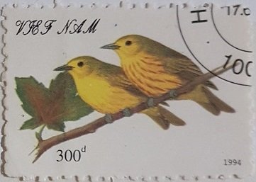 Couple Birds
