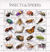 Insects/Spiders