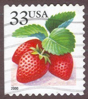 Fruit Berries:Strawberries