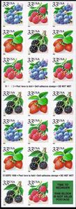 Booklet, Fruit Berries, United States of America,  , Fruits
