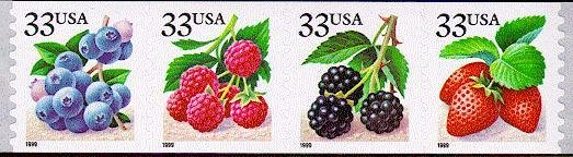 Fruit Berries