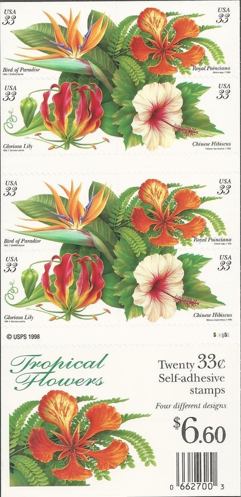 Tropical Flowers
