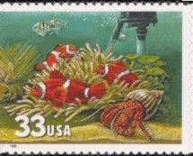 Stamp, Ocellaris Clownfish (Amphiprion ocellaris), Hermit Crab (Pag, United States of America,  , Fishes