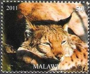 Animals