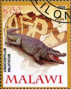 Stamp, Crocodylus Niloticus, Cinderellas,  , Animals (Fauna), Crocodiles