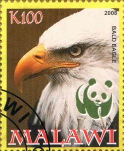 Stamp, Bald Eagle, Cinderellas,  , Animals (Fauna), Birds