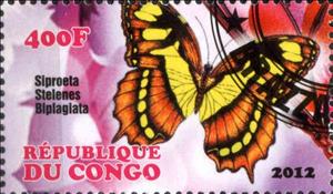 Stamp, Siproeta Stelenes Biplagiata, Cinderellas,  , Animals (Fauna), Butterflies
