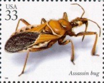 Stamp, Assassin Bug (Apiomerus sp.) , United States of America,  , Insects