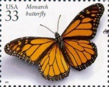 Monarch (Danaus plexippus)