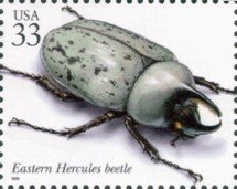 Stamp, Eastern Hercules Beetle (Dynastes tityus), United States of America,  , Insects