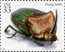 Rainbow Scarab Beetle (Phanaeus vindex) 