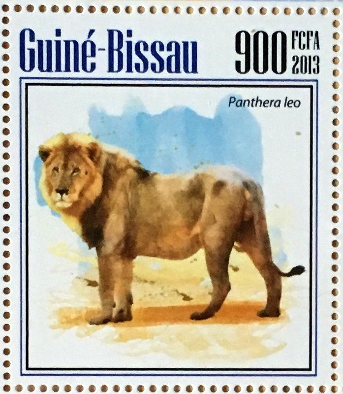 Lions