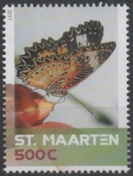Butterflies, Plants and Views of Sint Maarten