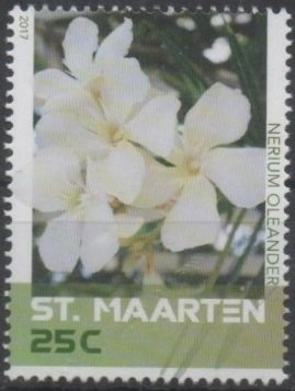 Butterflies, Plants and Views of Sint Maarten
