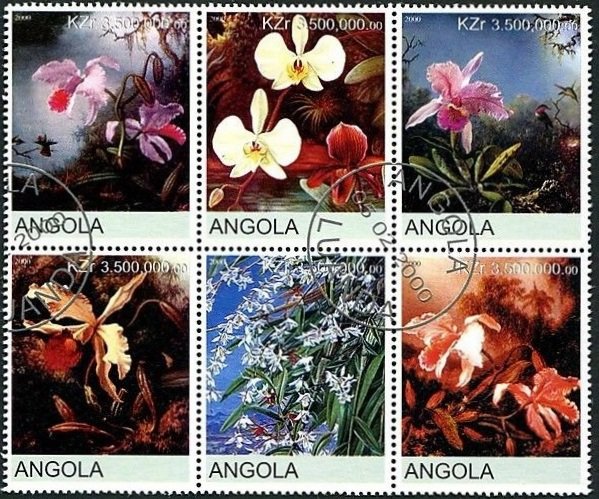 Orchids