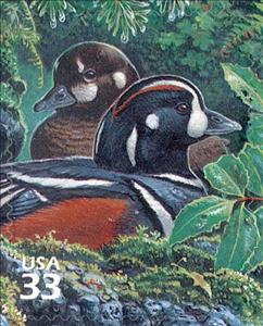 Stamp, Harlequin Duck (Histrionicus histrionicus), United States of America,  , Birds, Ducks, Animals (Fauna)