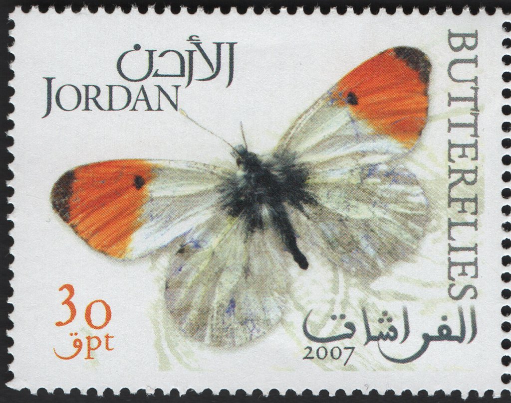 Butterfile