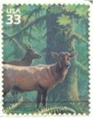 Stamp, Roosevelt Elk (Cervus elaphus roosevelti), United States of America,  