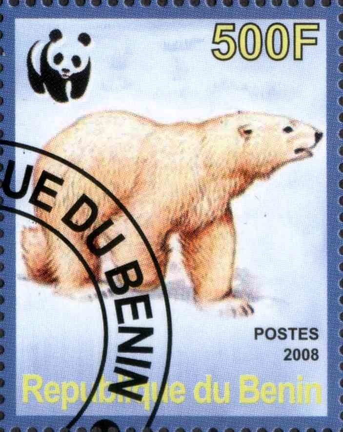 Faune de L'Arctique