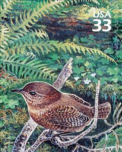 Stamp, Winter Wren (Troglodytes hiemalis), United States of America,  , Birds, Animals (Fauna)