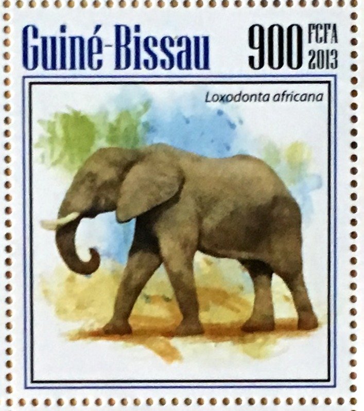 Elephant