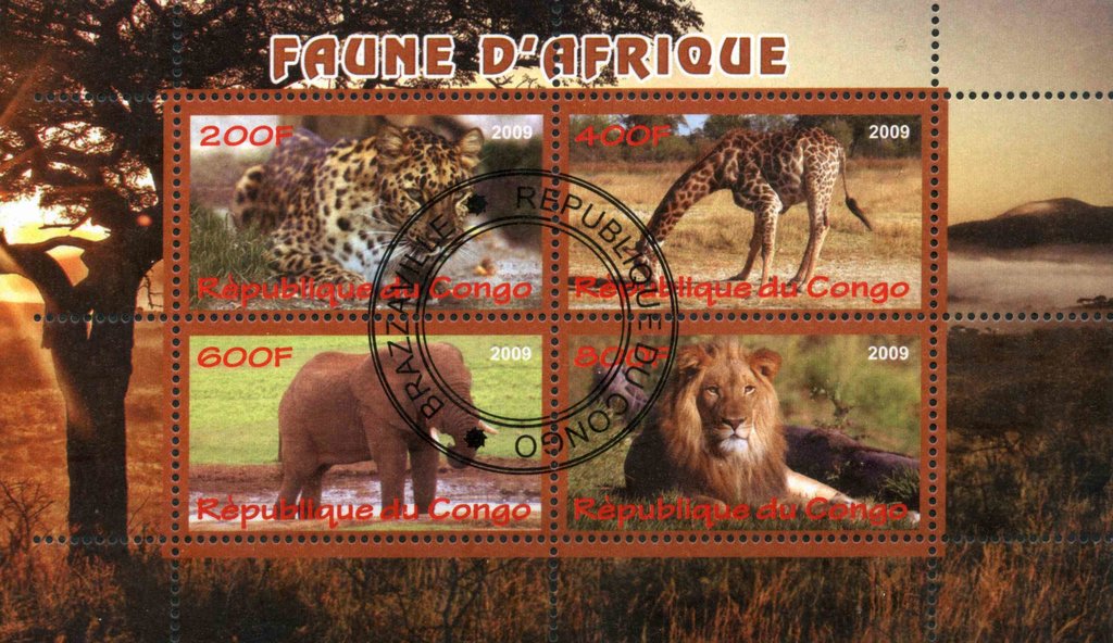 Faune d'Afrique