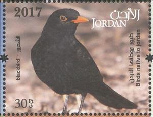 Stamp, Common Blackbird (Turdus merula), Jordan,  , Animals (Fauna), Birds