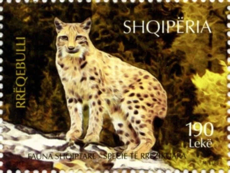 Lynx