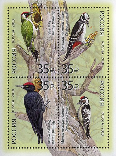 Woodpeckers
