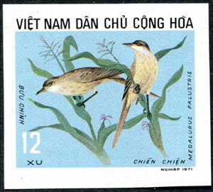 Stamp, Striated Grassbird (Megulurus palustris), Vietnam,  , Animals (Fauna), Birds