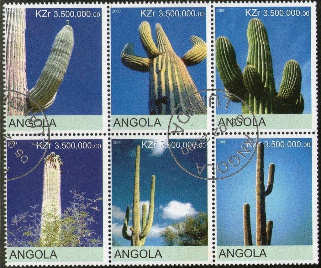 Cacti