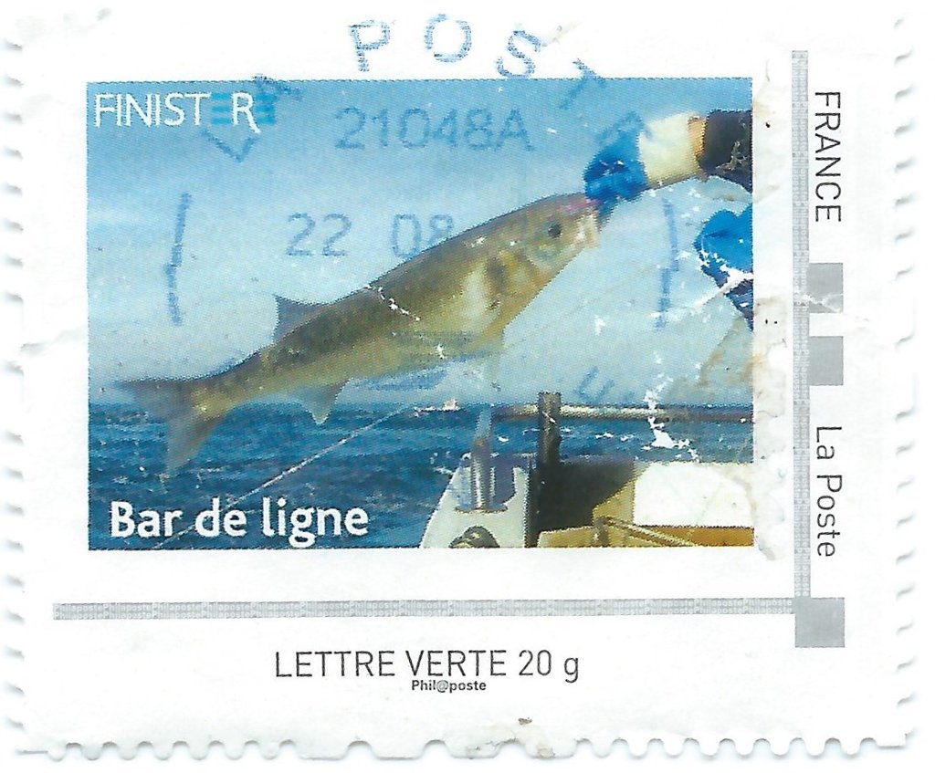 Bar de Ligne