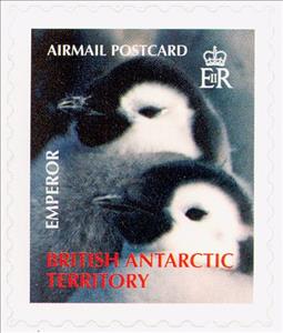 Stamp, Emperor Penguin (Aptenodytes forsteri), British Antarctic Territory (BAT),  , Animals (Fauna), Birds, Penguins