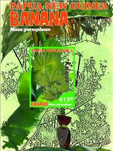 Stamp, Banana (2), Papua New Guinea,  , Agriculture, Fruits, Plants (Flora)