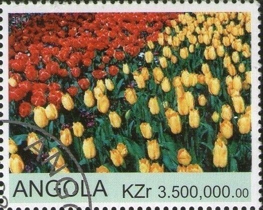 Tulips