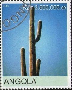 Stamp, Cactus, Cinderellas,  , Cacti, Plants (Flora)