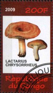 Stamp, Lactarius Chrysorrheus, Cinderellas,  , Mushrooms